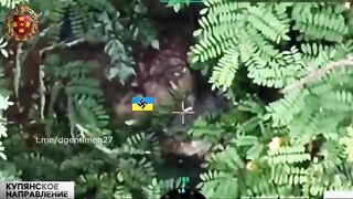 Colombian merc decapitated by drone.