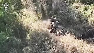Katsap shoot his head near on Kupyansk direction [censored]