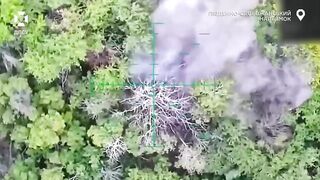 Katsap shoot his head near on Kupyansk direction [censored]