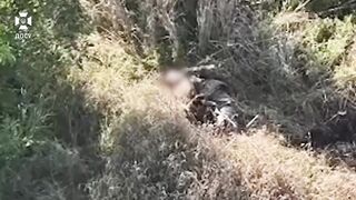 Katsap shoot his head near on Kupyansk direction [censored]