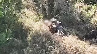 Katsap shoot his head near on Kupyansk direction [censored]