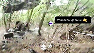 Khartiya cleaning a forest near Zapadne village on Nort of Kupyansk