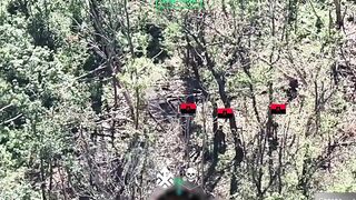 Again. Colombians are killing Russians and taking trophies.