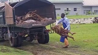Medicine In Nigeria Sucks: Scene Outside A Local Hospital