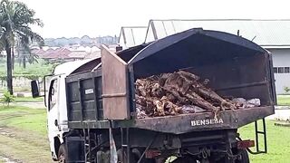 Medicine In Nigeria Sucks: Scene Outside A Local Hospital