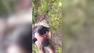 Rebels Ambushed Cameroon Army Soldiers Killing two