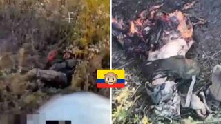 Colombian merc torn apart by Rus drones.