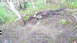 Dead Russians by 117th Brigade. #4