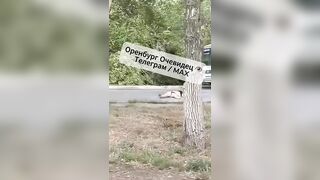 Wasted Blonde Fucks Around On A Busy Road In Russia