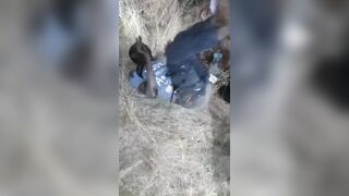 Thieves Tortured By Community Members