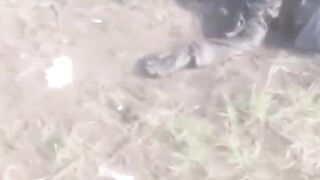 Those dead ruzkies may be already drinking vine with a girls with nice tits