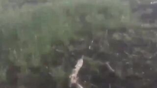 Those dead ruzkies may be already drinking vine with a girls with nice tits