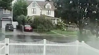 Video captures moment a New Yorker gets struck by lightning