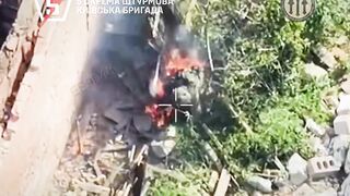 UAF drone finishes burning alive ruzzian invader