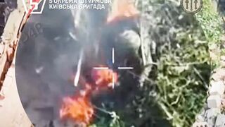 UAF drone finishes burning alive ruzzian invader