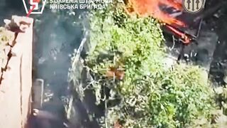 UAF drone finishes burning alive ruzzian invader