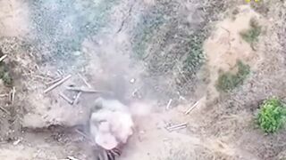 THE WRATH OF RUSSIA ON INVADERS IN ZAPORIZHZHIA