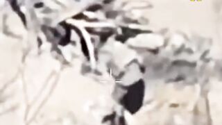 THE WRATH OF RUSSIA ON INVADERS IN ZAPORIZHZHIA