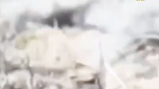 THE WRATH OF RUSSIA ON INVADERS IN ZAPORIZHZHIA