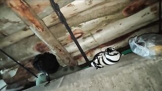 Vehicle slipped off the jack crushing the two people