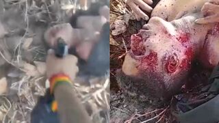 TCP Traffickers Film Themselves Executing Rival In The Woods