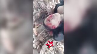 TCP Traffickers Film Themselves Executing Rival In The Woods