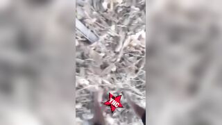 TCP Traffickers Film Themselves Executing Rival In The Woods