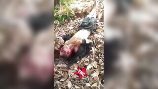 TCP Traffickers Film Themselves Executing Rival In The Woods