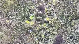 RUBICON ELIMINATING UKRAINIAN SOLDIERS