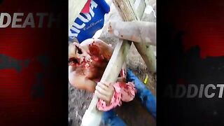 Guerrilla Member Was Tortured And Murdered In Bogota