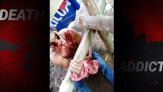 Guerrilla Member Was Tortured And Murdered In Bogota