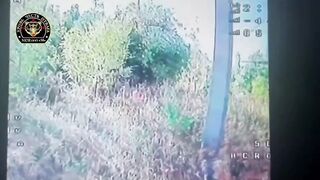 Ukrainian turns black.