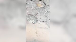 Prostute Was Beaten And Stabbed By Gang Member