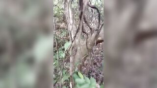 Macabre Discovery In The Jungle