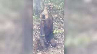 Macabre Discovery In The Jungle