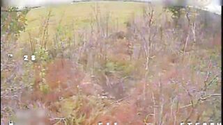 UA drones bullying Russians.