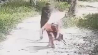 Ruthless Assassination Of Businessman In The Philippines
