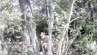 Don't go to the bathroom near Russian drones.