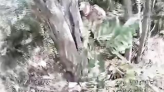 Don't go to the bathroom near Russian drones.