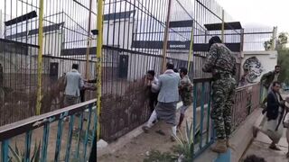 Man has arm torn off by tiger