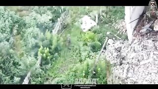 Killing Ukrainian terrorists.