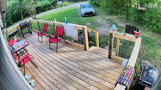 Dog Attacks A Woman In USA