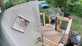 Dog Attacks A Woman In USA