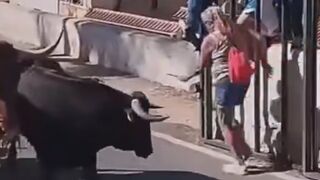 Woman Dies After Being Gored By Bull In Spain