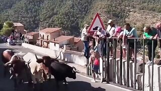 Woman Dies After Being Gored By Bull In Spain