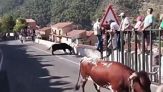 Woman Dies After Being Gored By Bull In Spain