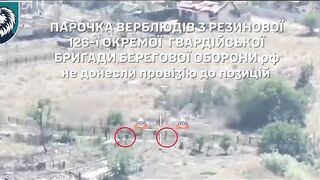 Dead Russians by 34th Brigade. #2