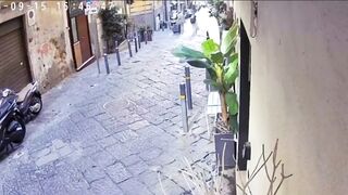 Woman Dies When A Statue Falls On Her Head.