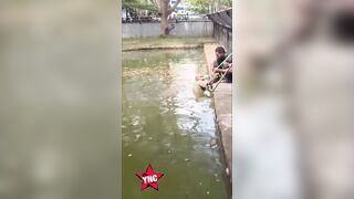 Crocodile handler dies a day after being attacked at Papua New Guinea wildlife park