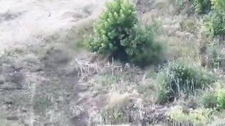 Dead Russians by 127th Brigade.